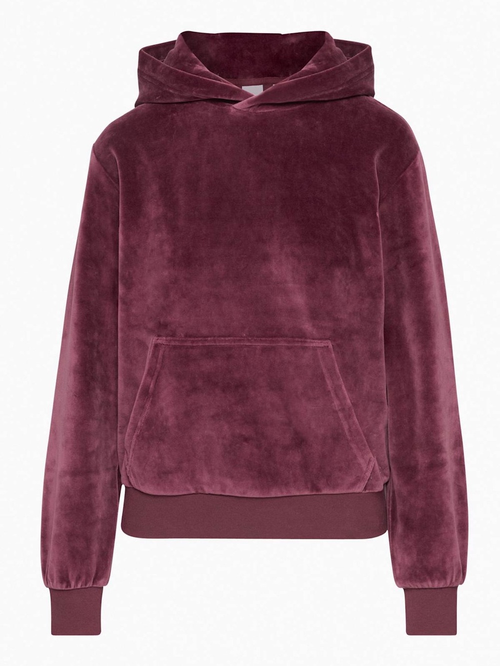 Aritzia TNA Velour Hoodie Spiced Burgundy